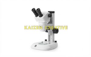 kính hiển vi soi nổi Werka 520-0224 tỷ lệ zoom 6.3:1 phóng đại 8X đến 50X chính hãng