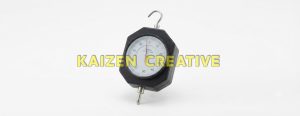 đồng hồ đo lực căng Werka 9213-030-PG dải đo 3-30gf phân giải 0.1gf chính hãng