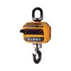 Cân Treo Điện Tử CAS Caston III (2 Tấn - 50 Tấn, Cỡ Lớn Công Nghiệp Nặng)